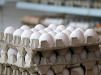 Генпрокуратура отреагировала на неадекватную стоимость яиц