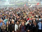 chinese_144