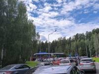 В Свердловской области резко снизилась стоимость бензина