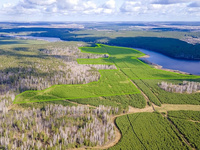ДОМ.РФ выставил на торги крупный участок под Сысертью