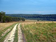 Подходы к южноуральским деревням заасфальтируют