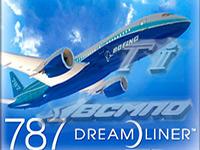 В июле 2009 года Boeing и ВСМПО-Ависма  откроют совместное предприятие на Урале