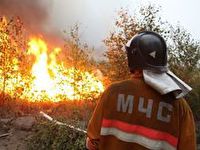 Южный Урал поборол лесные пожары