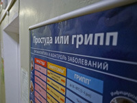 Свердловская область лишилась 17 млрд рублей из-за гриппа и ОРВИ