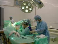 В 2009 году Тюмень получит новый нейрохирургический центр