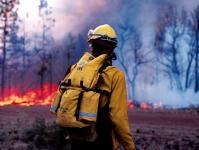 Уральский кластер попал в полосу лесных пожаров