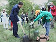 Челябинск утонет в зелени