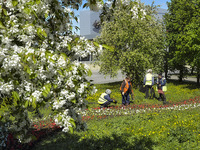 Екатеринбург охватит зеленое благоустройство